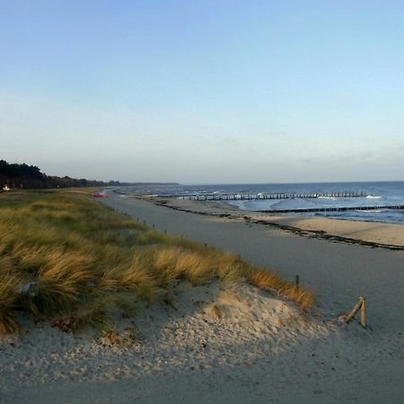 Hafenstr_ 41 A Haus Marienlinde Βίλα Zingst Εξωτερικό φωτογραφία