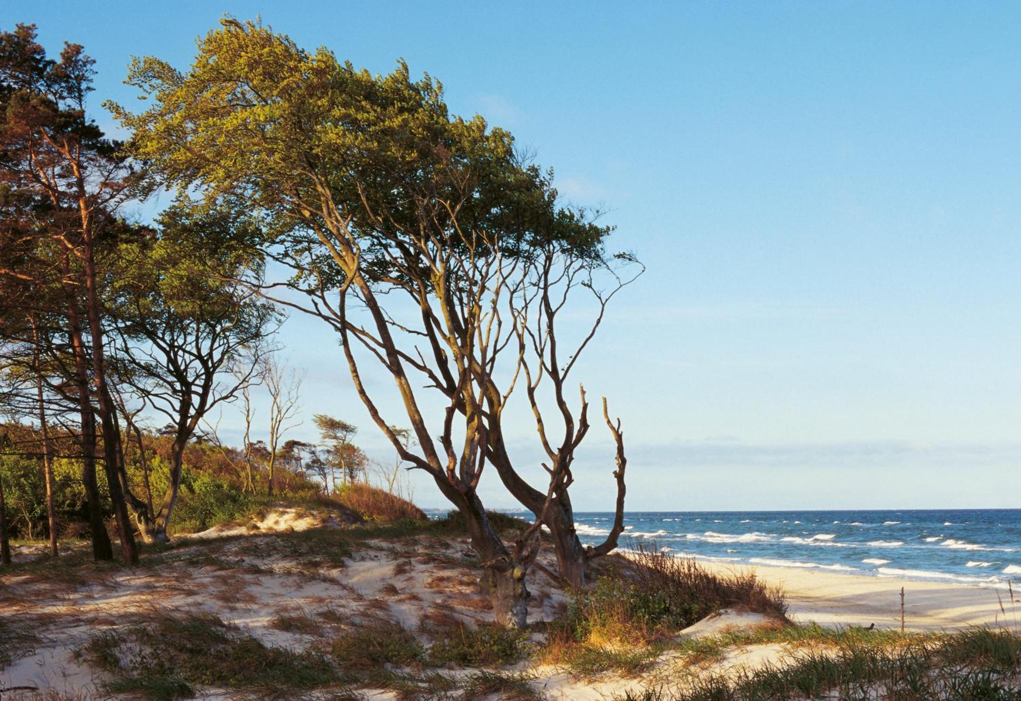 Hafenstr_ 41 A Haus Marienlinde Βίλα Zingst Εξωτερικό φωτογραφία