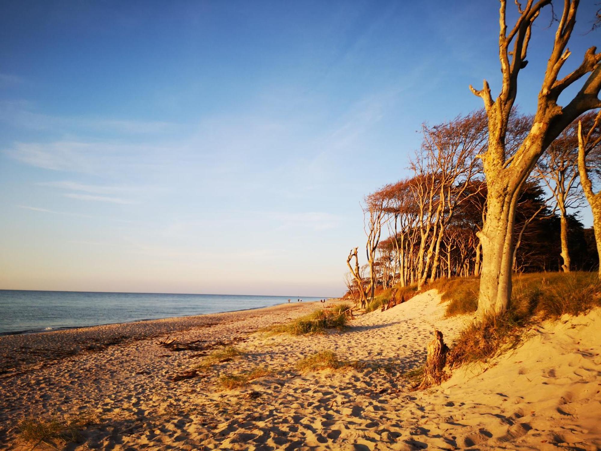 Hafenstr_ 41 A Haus Marienlinde Βίλα Zingst Εξωτερικό φωτογραφία